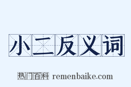 小二反义词是什么意思的图片